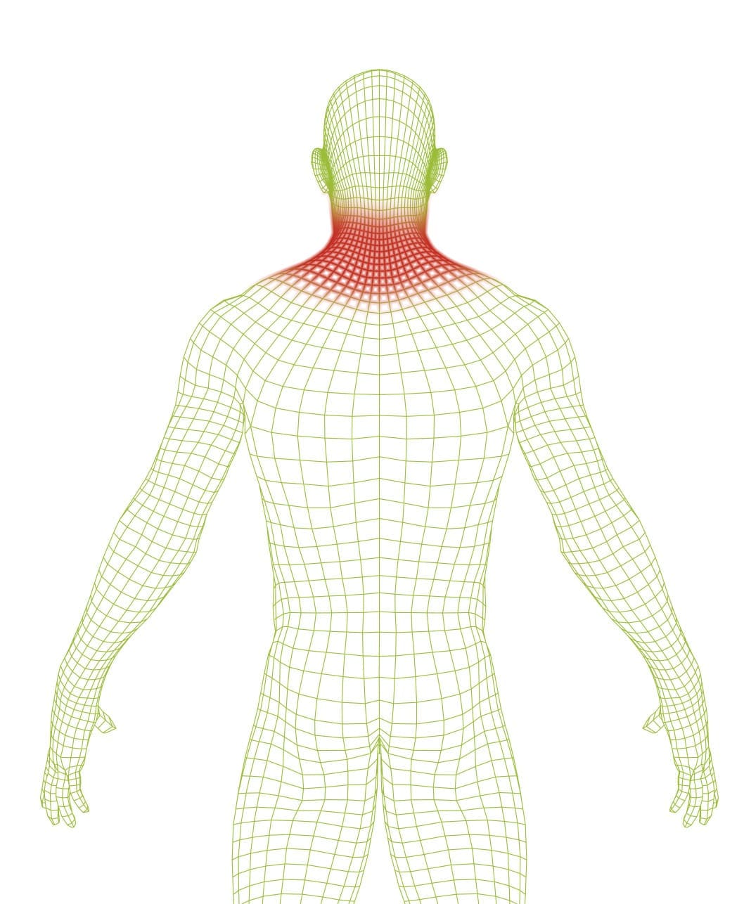 FIT WEAR Niskaan - Image 2
