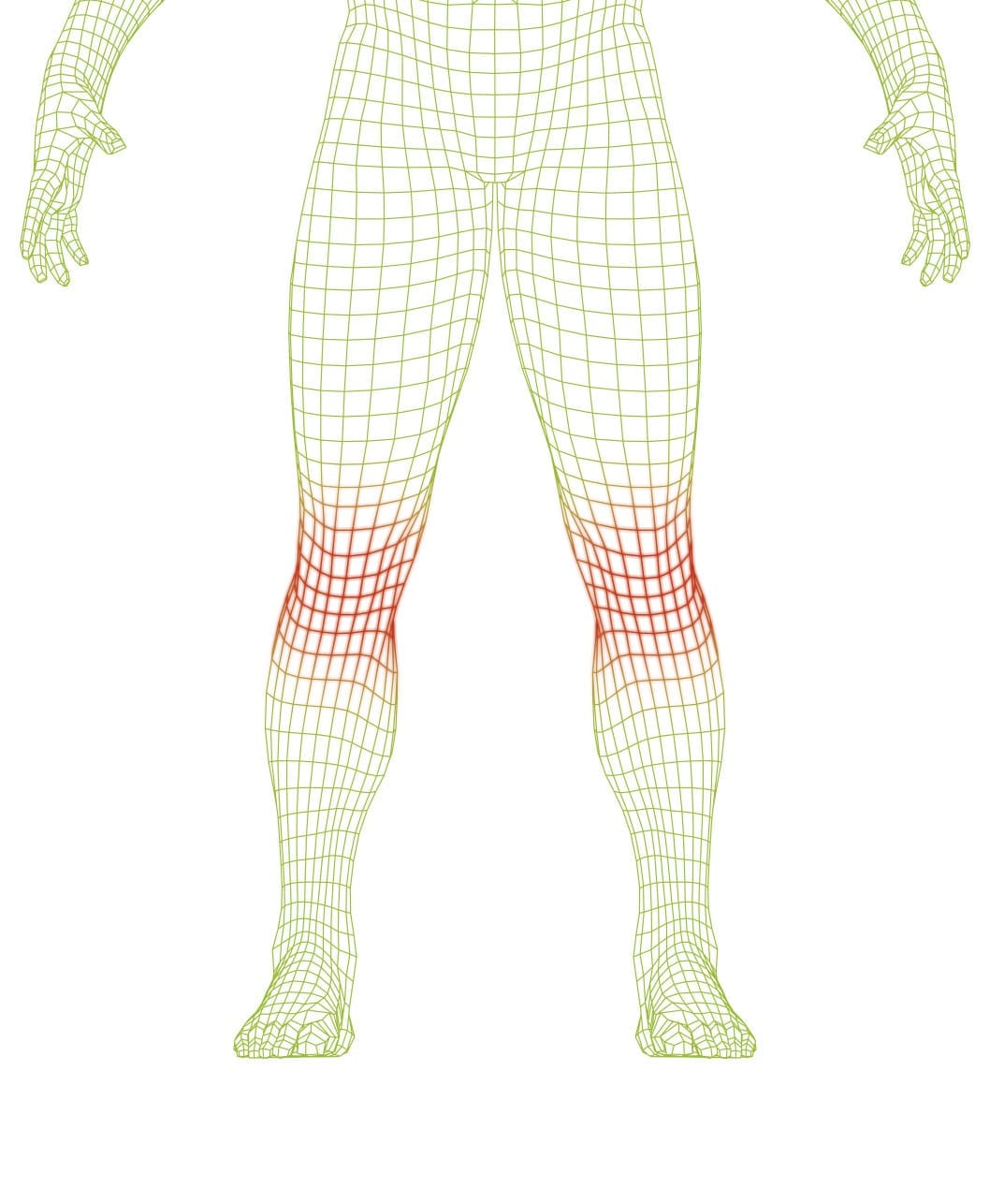 FIT WEAR Polvi - Image 2
